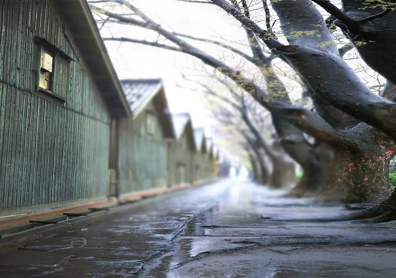 高清背景-脚下的路22