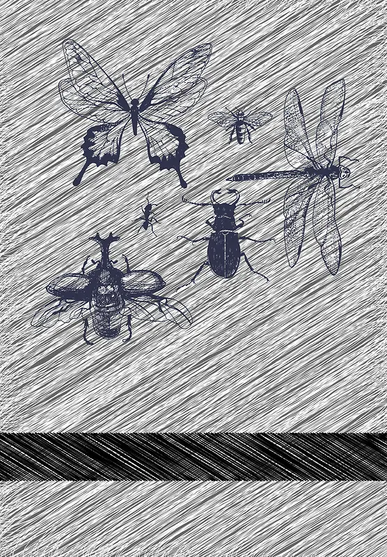 手绘昆虫昆虫素材条纹背景