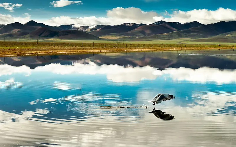 西藏人文风景6