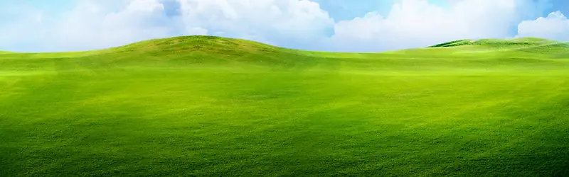 绿色草原背景
