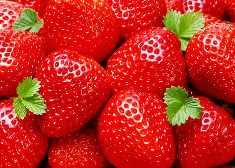 草莓高清大图背景图