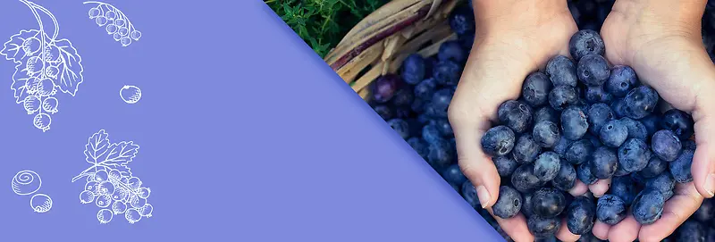 蓝莓果汁淘宝大促清新紫色banner
