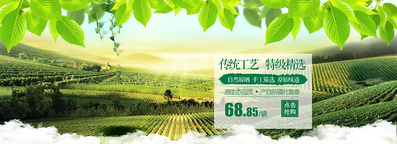 绿色小清新摄影葡萄干banner