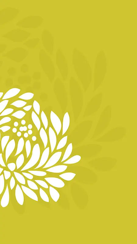 小清新简约白色花瓣图案H5背景素材