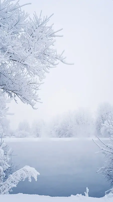 冬天洁白雪景手机端H5背景