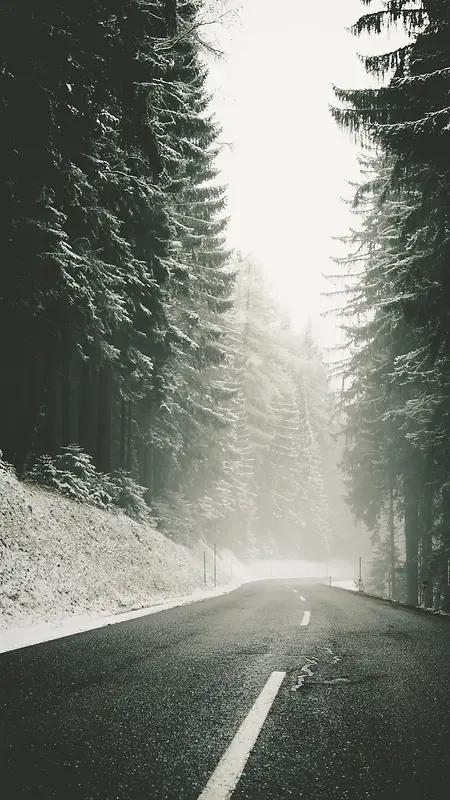 雪和巷道