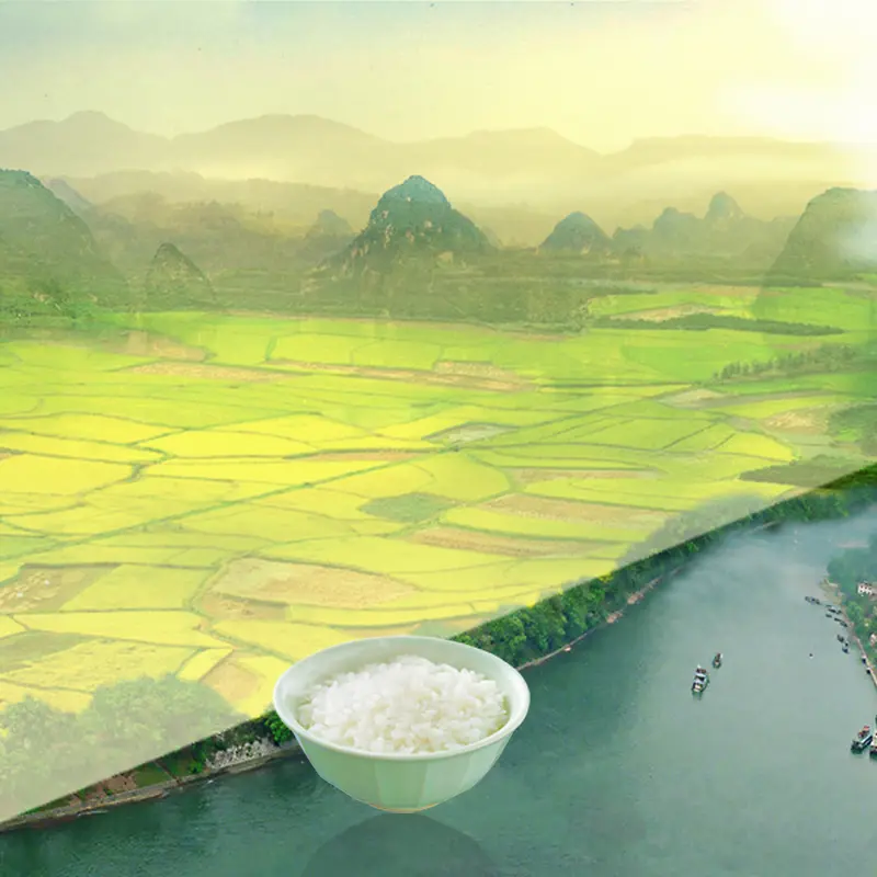 粮食大米稻田PSD分层主图背景素材背景图片素材下载_图片编号qdxzmxbz-免抠素材网