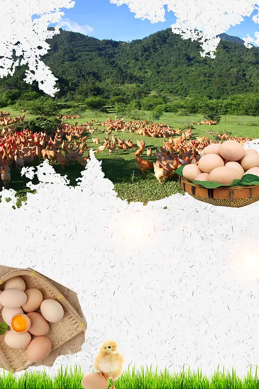 农场农家土鸡蛋美味餐饮海报背景素材
