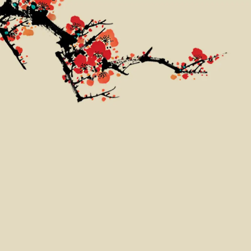 中国风梅花背景