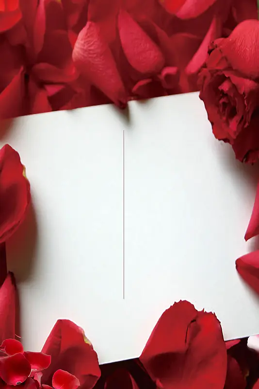 玫瑰花瓣底纹海报背景模板