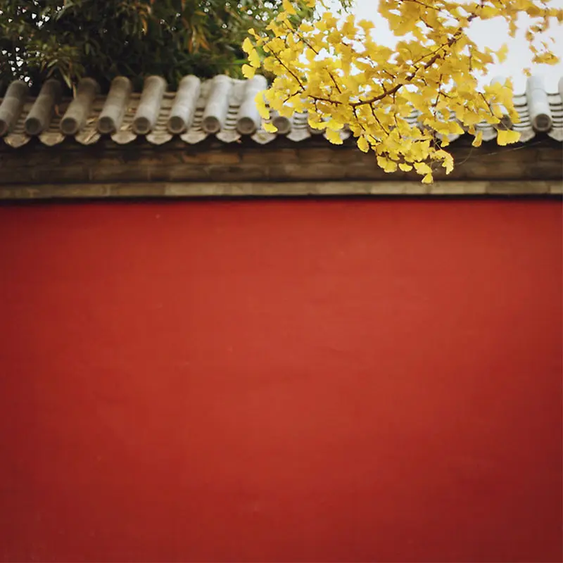 中国风墙面背景图