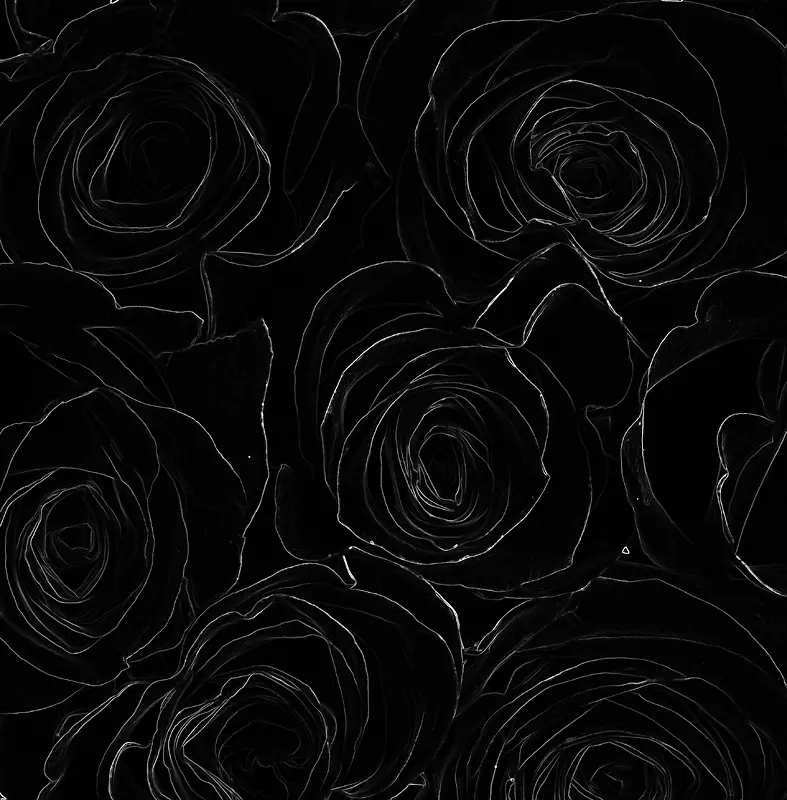 黑色玫瑰花纹背景素材