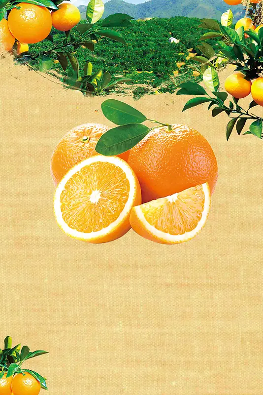 简约赣南脐橙促销宣传