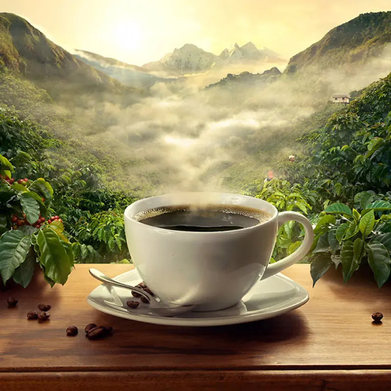 清新自然咖啡主图背景