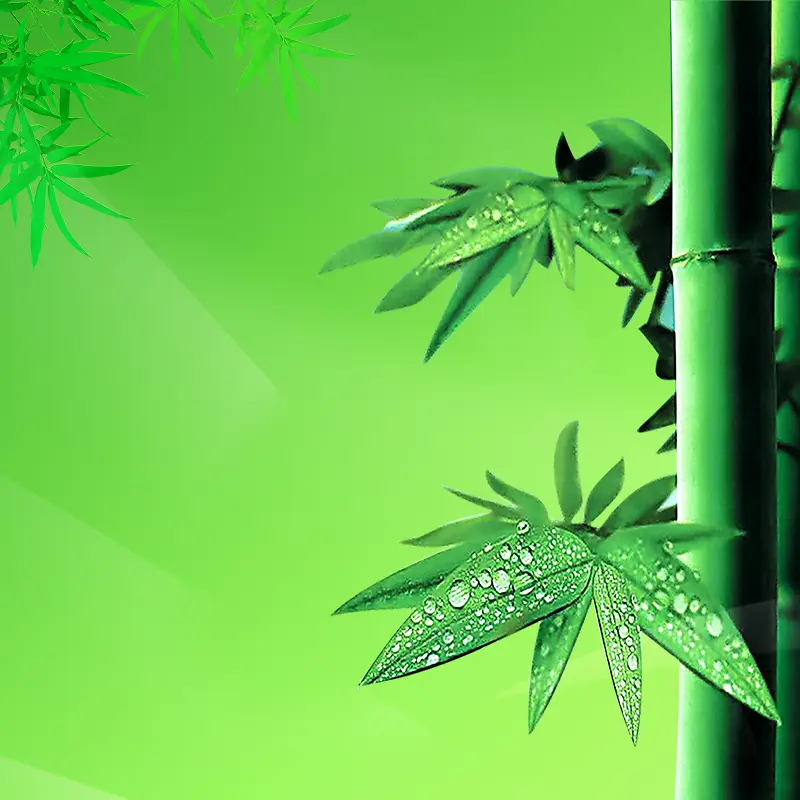 绿色竹林装修PSD分层主图背景素材