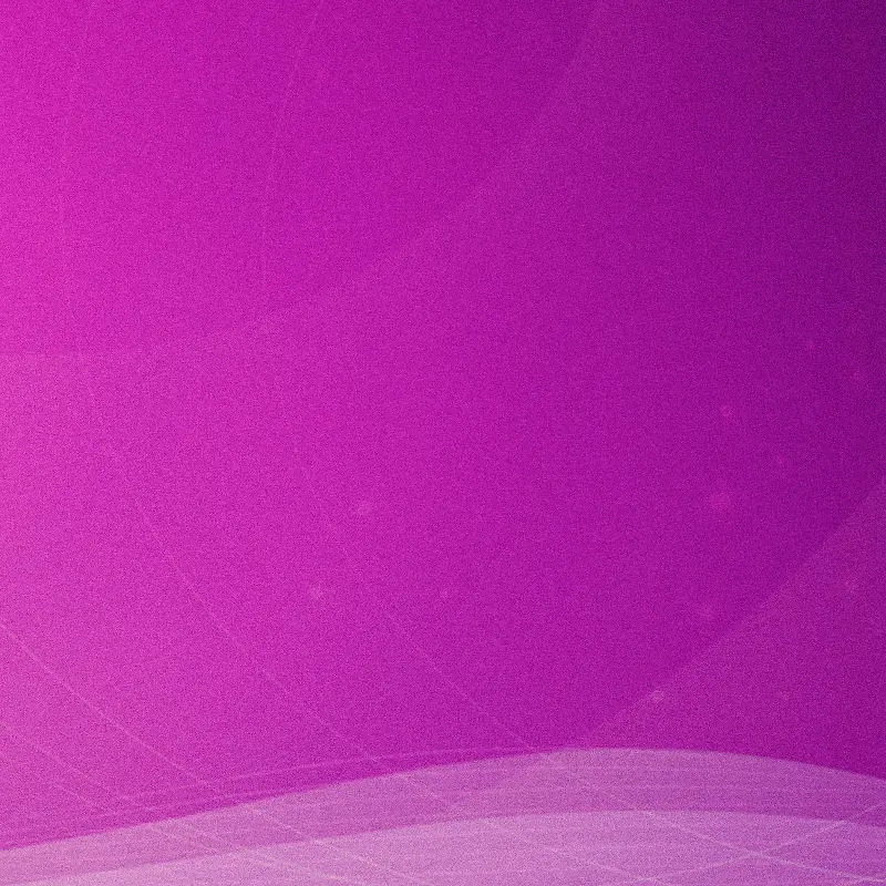 紫色节日模板