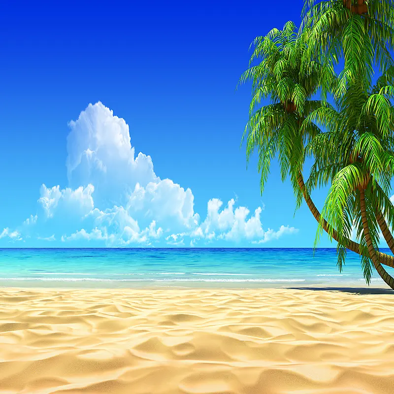 沙滩椰子树背景