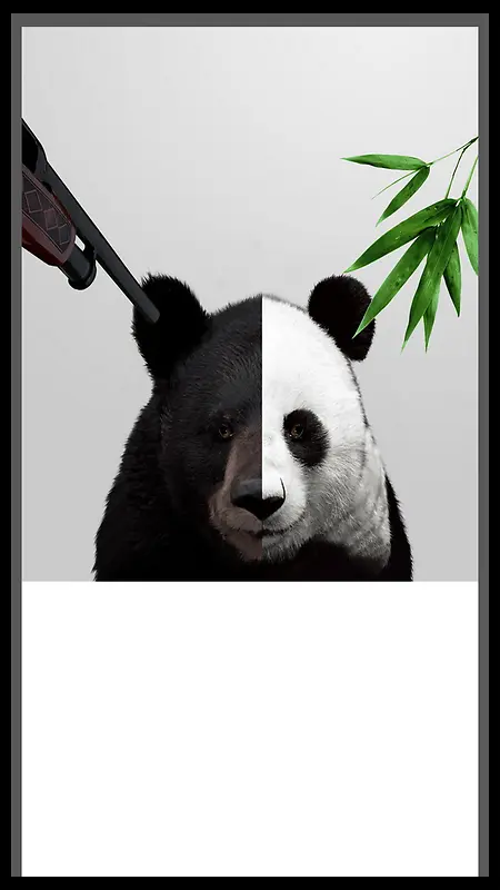 对着熊猫的枪H5素材背景
