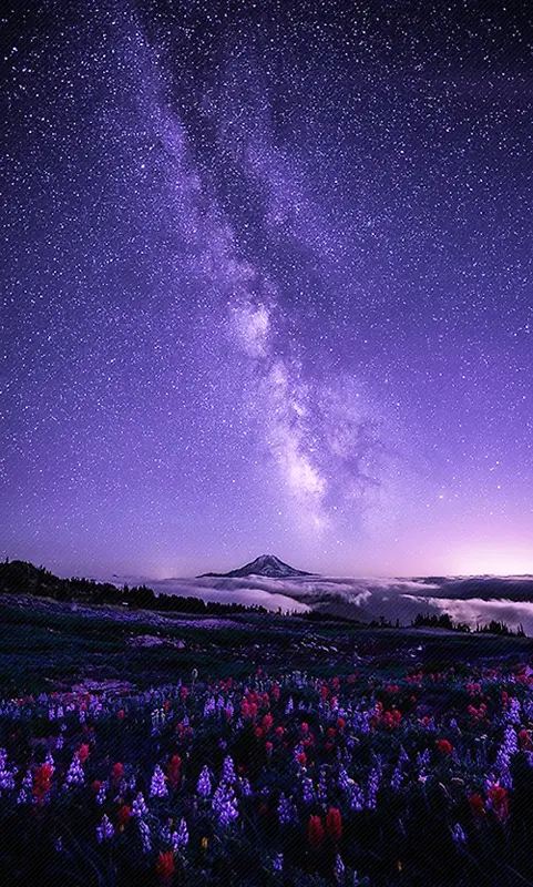 大气花朵星空