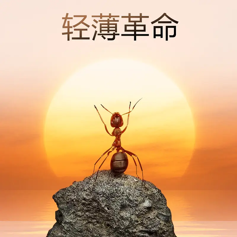 夕阳蚂蚁PSD分层主图背景素材+主图背景