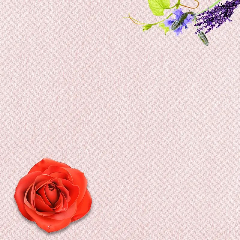 淘宝粉色温馨玫瑰花背景