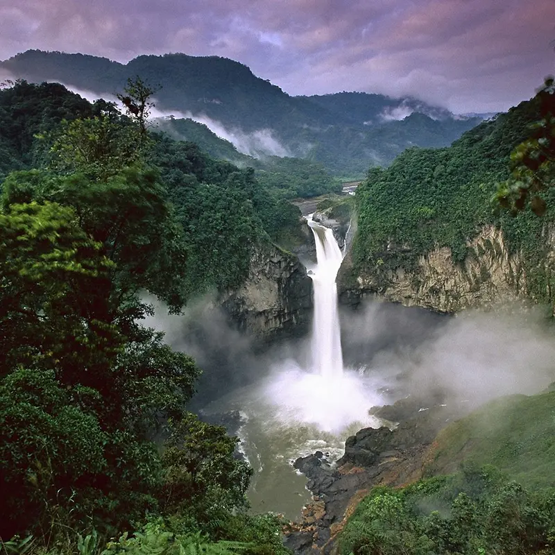 绿色自然 清新淡雅 文艺 简约 风景