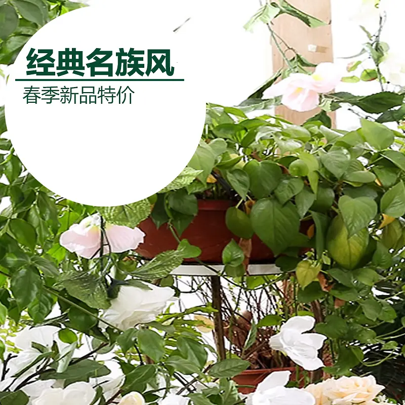 绿色盆栽背景