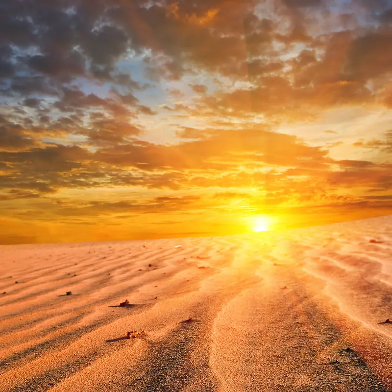 金色阳光沙漠背景图
