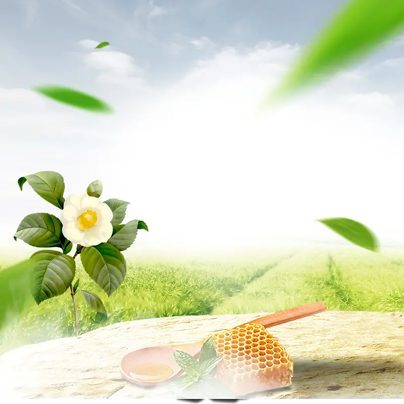 春天蜂蜜自然健康食品绿色飘叶淘宝主图