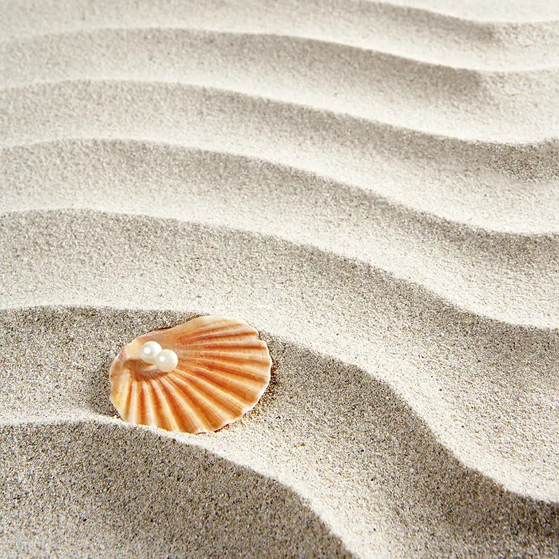 沙滩贝壳背景