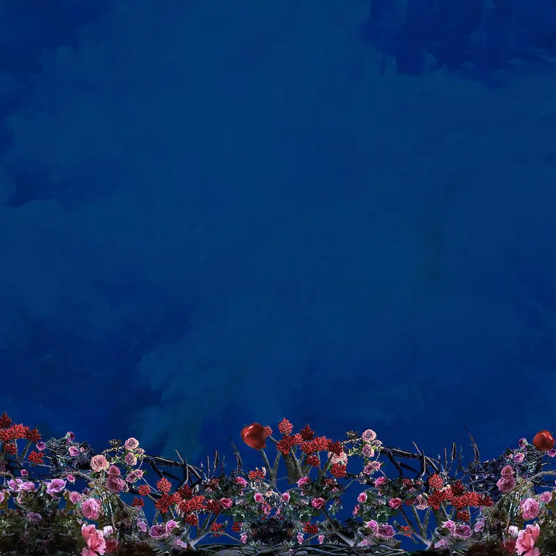 蓝底花朵背景
