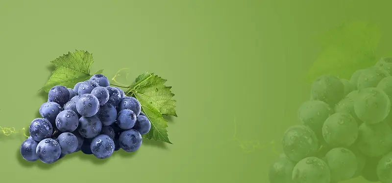 葡萄熟了简约绿色背景