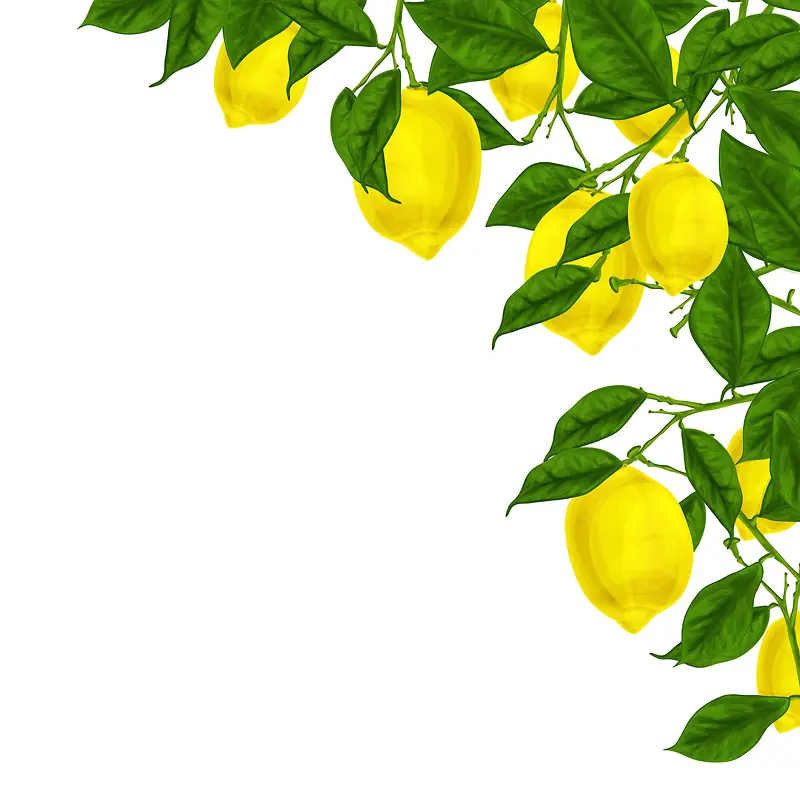 卡通手绘柠檬简约植物背景素材