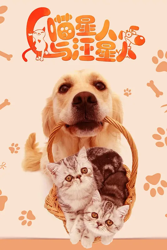 清新简约宠物海报