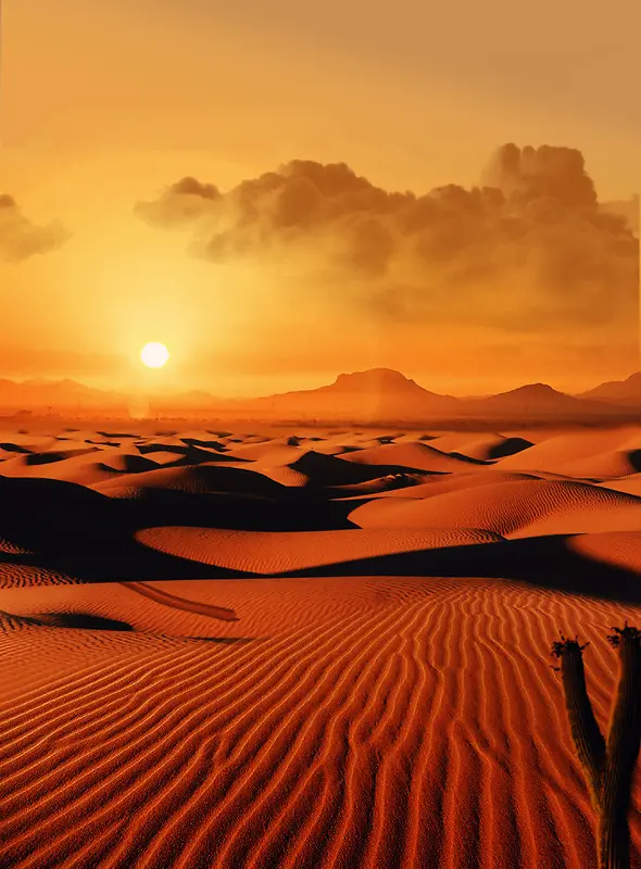 沙漠中夕阳西下风景素材背景