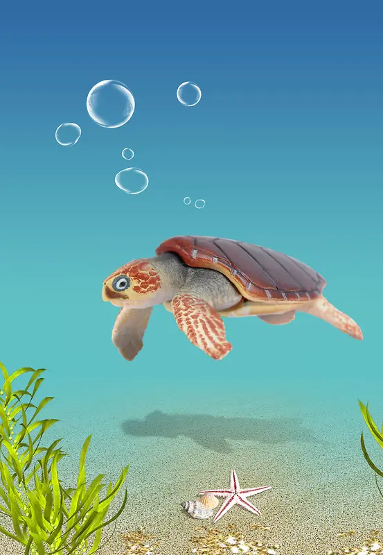 海底 海龟海草 海报 背景 元素
