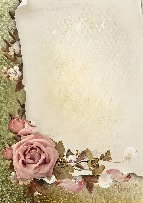 浪漫优雅玫瑰边框美容背景素材