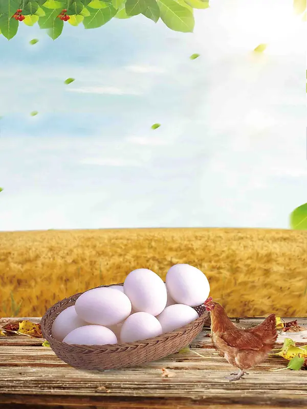 创意美食柴鸡蛋海报背景模板