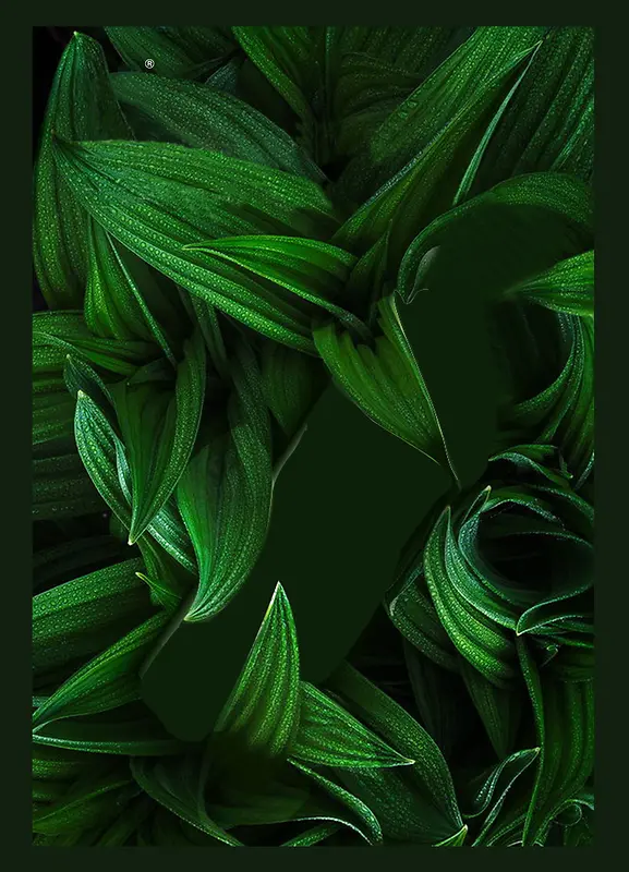 绿色 植物 化妆品设计