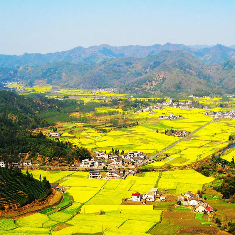 风景模板素材