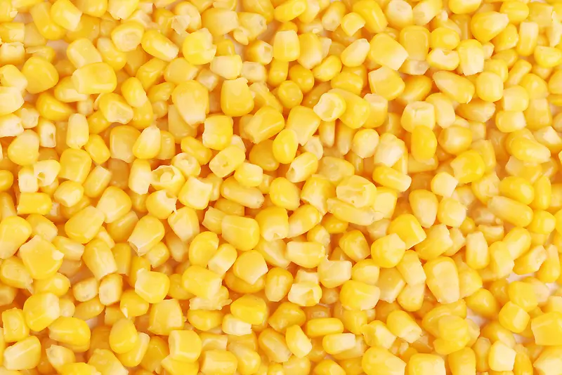 玉米粒高清拍摄