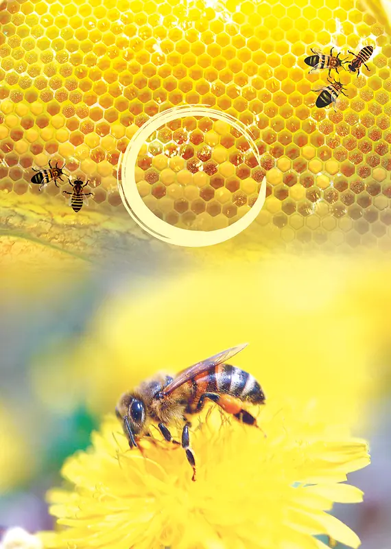 蜂蜜广告背景