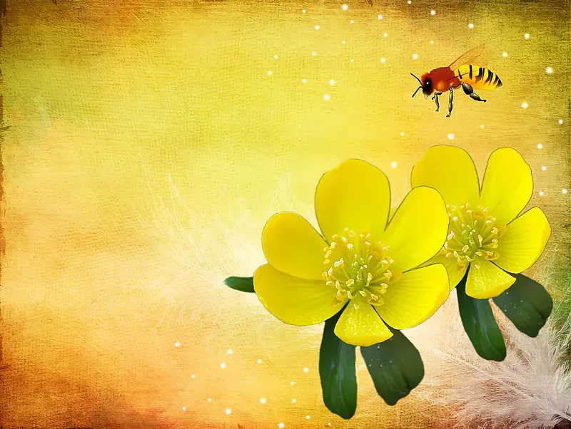 黄色背景中的黄花和小蜜蜂背景素材