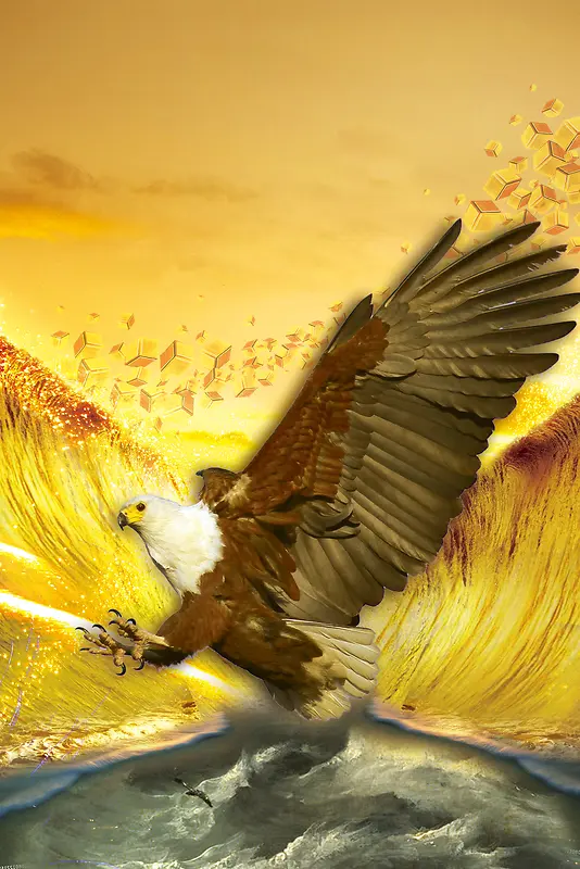 金色海面雄鹰商务飞鸟海面风景背景素材