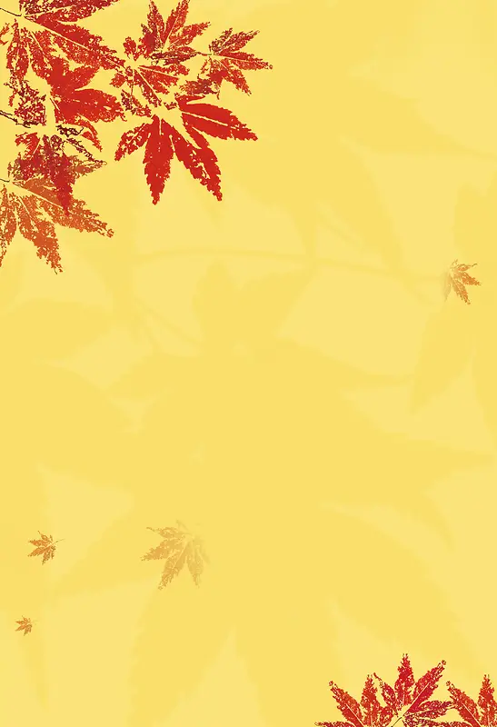 黄色枫叶收获背景