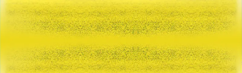 黄色 油菜花背景
