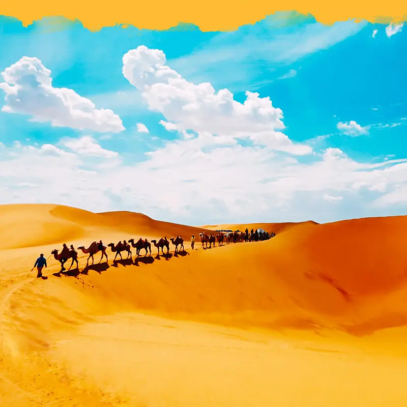骆驼沙漠主图背景素材