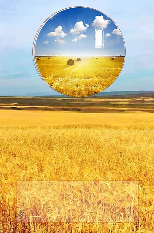小麦金黄色立秋二十四节气海报背景素材