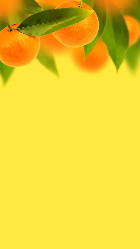 橙子H5背景