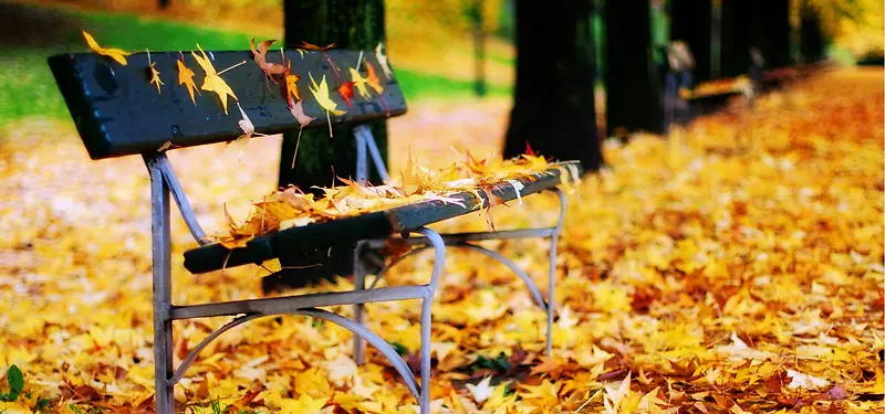 秋天公园长椅